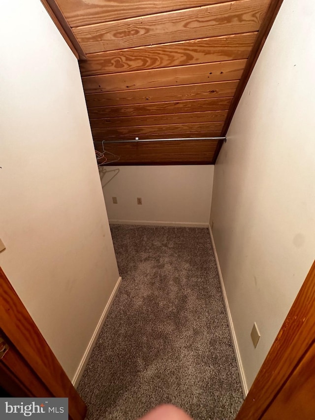 walk in closet featuring vaulted ceiling and carpet