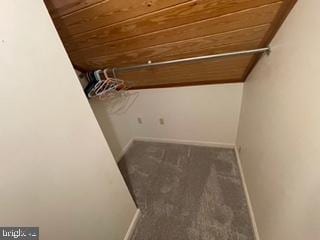 spacious closet with carpet flooring and lofted ceiling