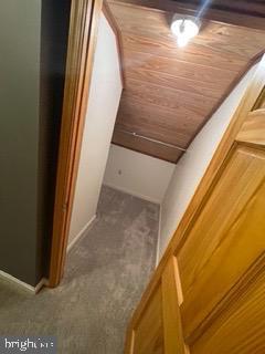 stairway featuring carpet flooring