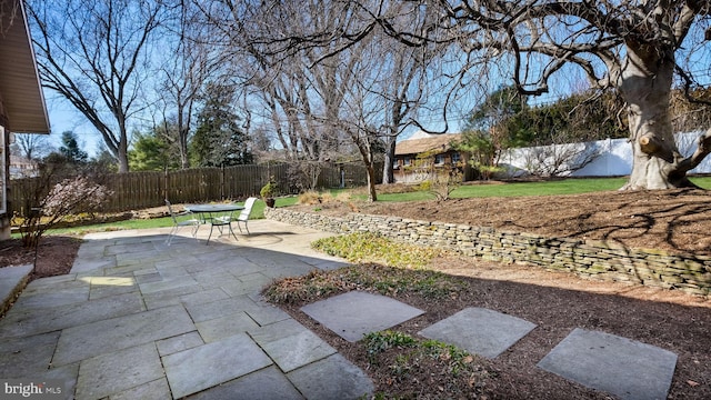 view of yard with a patio area and a fenced backyard