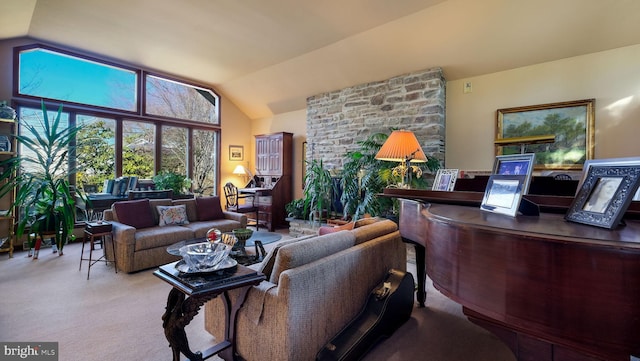 living room featuring lofted ceiling and carpet