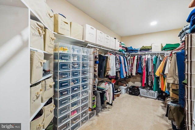 walk in closet featuring carpet flooring