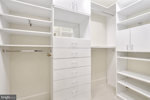 view of spacious closet