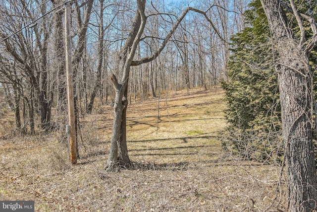 Listing photo 2 for 0 Bunker Hill Rd, The Plains VA 20198