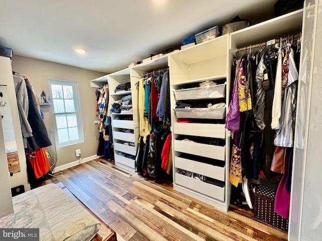 spacious closet with wood finished floors