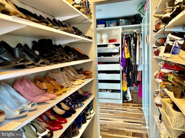 walk in closet featuring wood finished floors