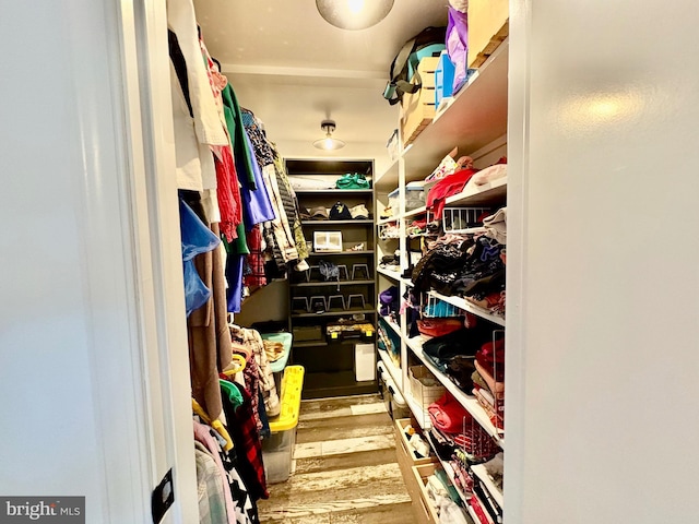 spacious closet with wood finished floors