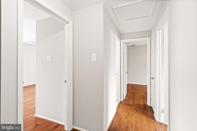 8042 Saint Annes Ct, Alexandria, VA 22309 - hall with wood finished floors