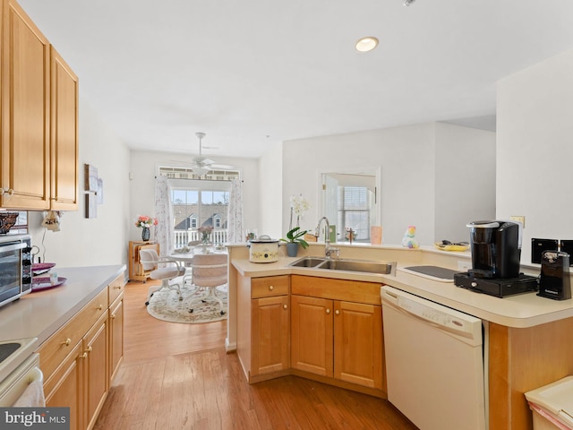 kitchen featuring light wood-type flooring, a sink, light countertops, range, and dishwasher