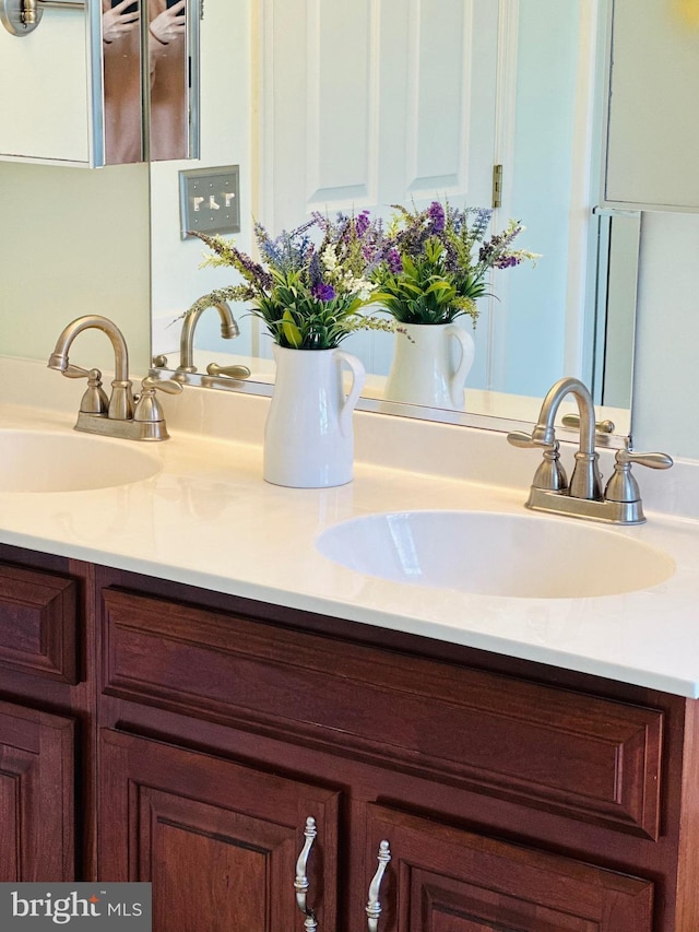 details featuring a sink and double vanity