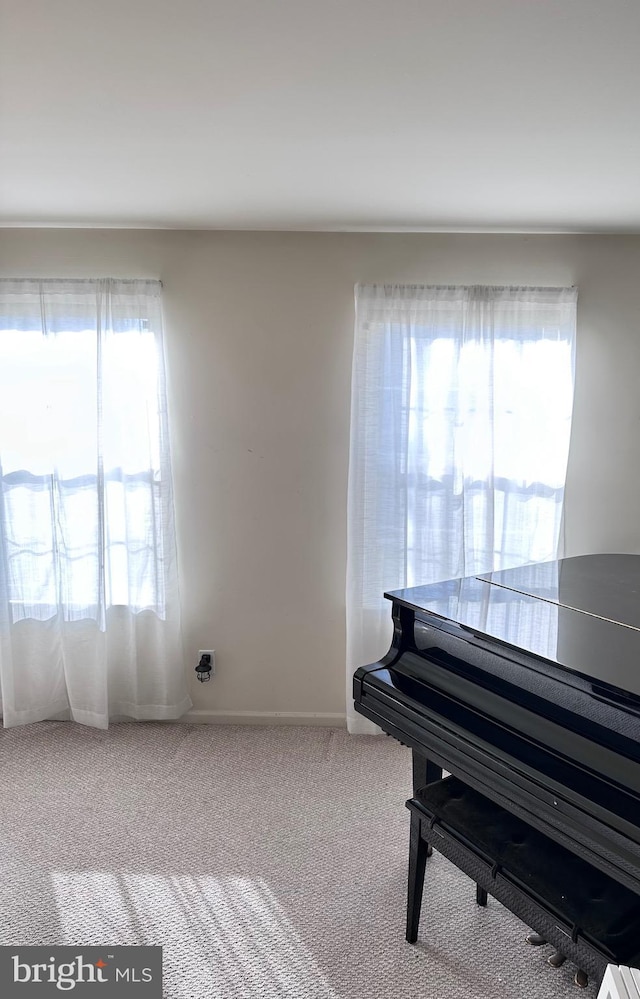 living area featuring baseboards and carpet floors