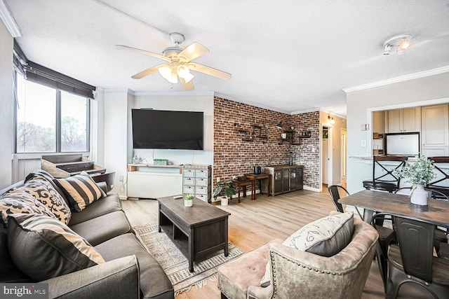 living area featuring light wood-style floors, ceiling fan, ornamental molding, and a textured ceiling