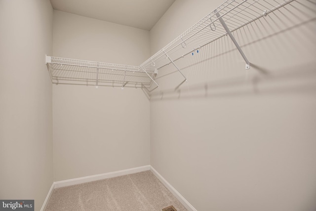 walk in closet featuring carpet flooring