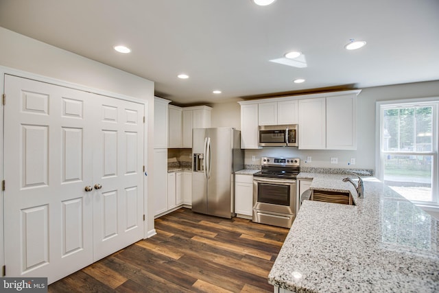 kitchen with light stone counters, dark wood-style floors, a peninsula, a sink, and stainless steel appliances