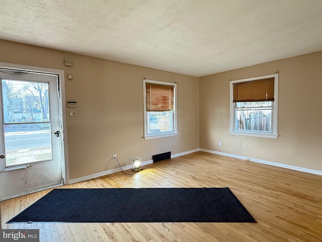 foyer with a wealth of natural light, a textured ceiling, and wood-type flooring