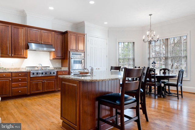 kitchen featuring under cabinet range hood, stainless steel appliances, light stone counters, and light wood-style floors