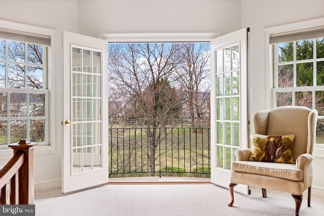 sitting room featuring baseboards and carpet floors