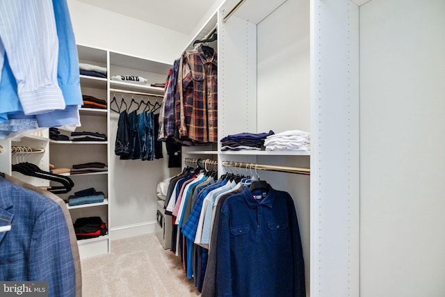 walk in closet featuring carpet flooring