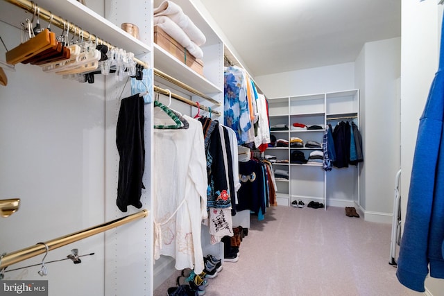 spacious closet with carpet