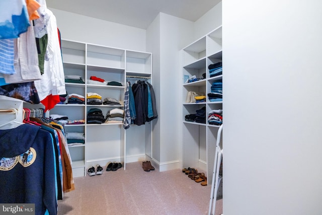 walk in closet featuring carpet flooring