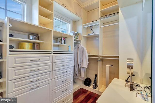 24537 Wave Maker Dr, Millsboro, DE 19966 - spacious closet with dark wood-style floors