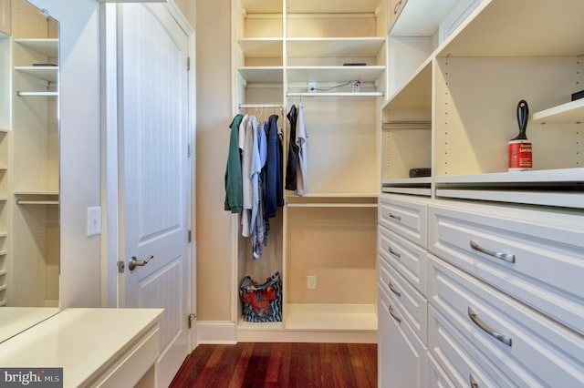 24537 Wave Maker Dr, Millsboro, DE 19966 - walk in closet with dark wood-style flooring
