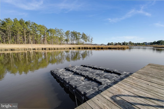24537 Wave Maker Dr, Millsboro, DE 19966 - dock area featuring a water view