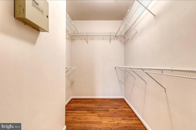 spacious closet featuring wood finished floors