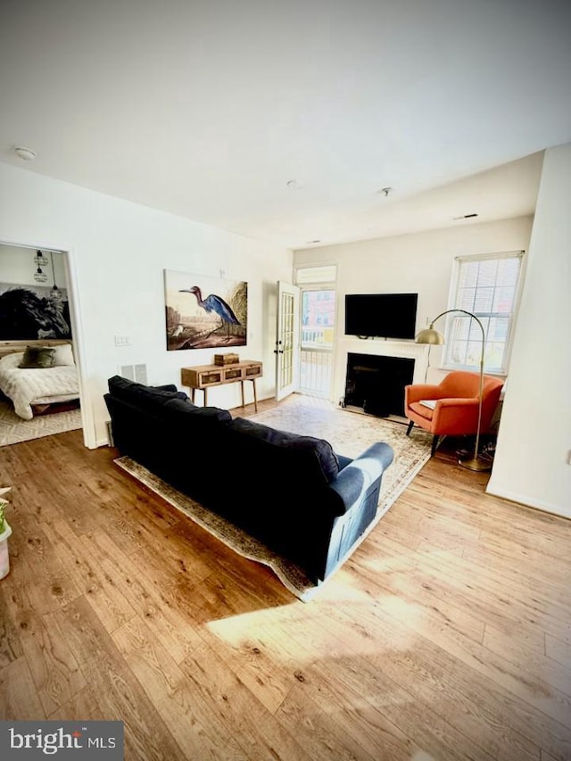 living room featuring a fireplace and wood-type flooring