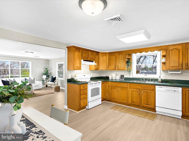 kitchen featuring visible vents, under cabinet range hood, a sink, white appliances, and light wood-style floors