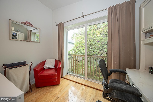 office space featuring hardwood / wood-style floors