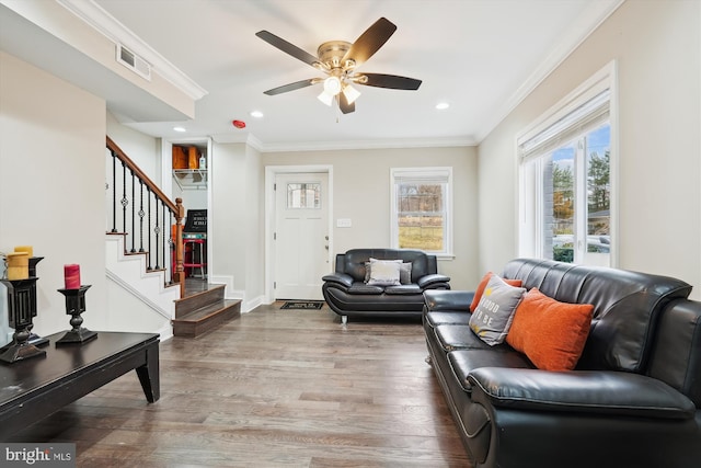 living room featuring stairway, wood finished floors, visible vents, ceiling fan, and ornamental molding