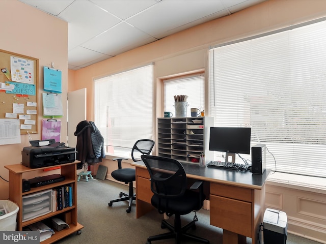 office space featuring carpet and a paneled ceiling