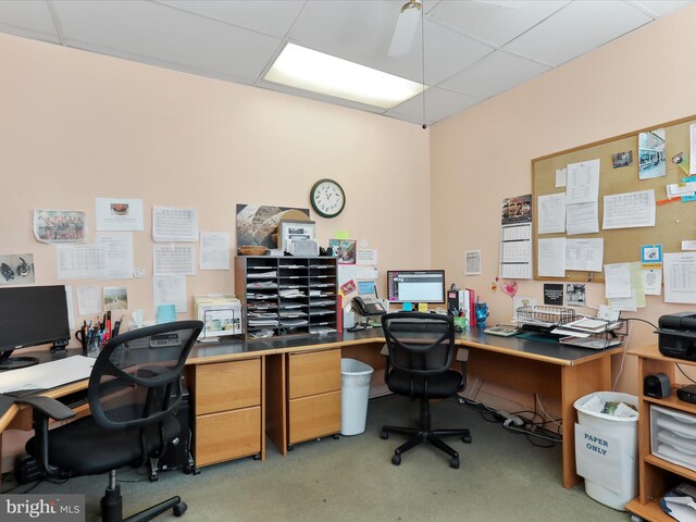 office space featuring a ceiling fan and a drop ceiling