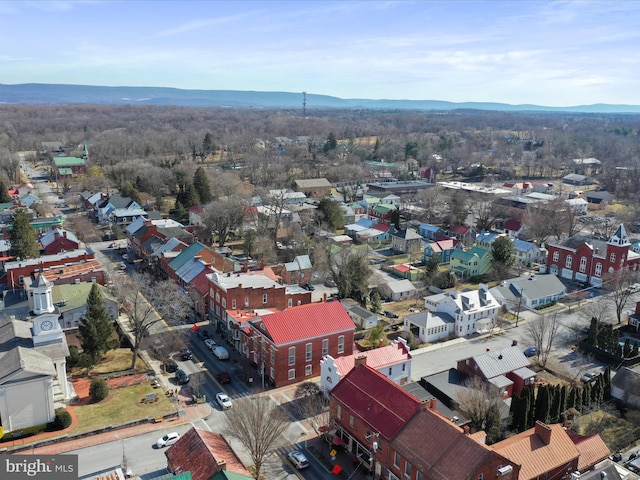 birds eye view of property featuring a mountain view