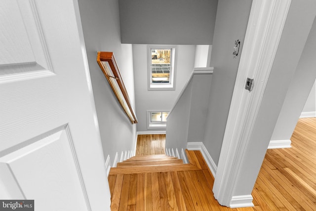 stairway featuring baseboards and hardwood / wood-style flooring