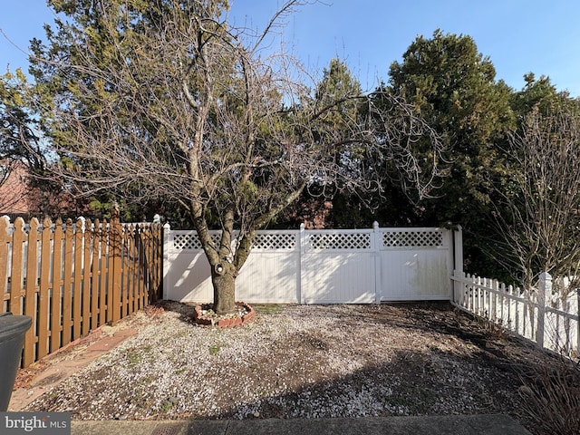 view of gate featuring fence private yard