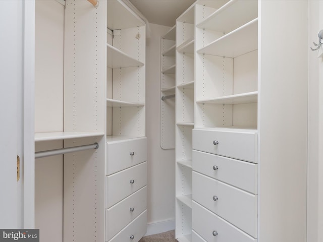 view of walk in closet