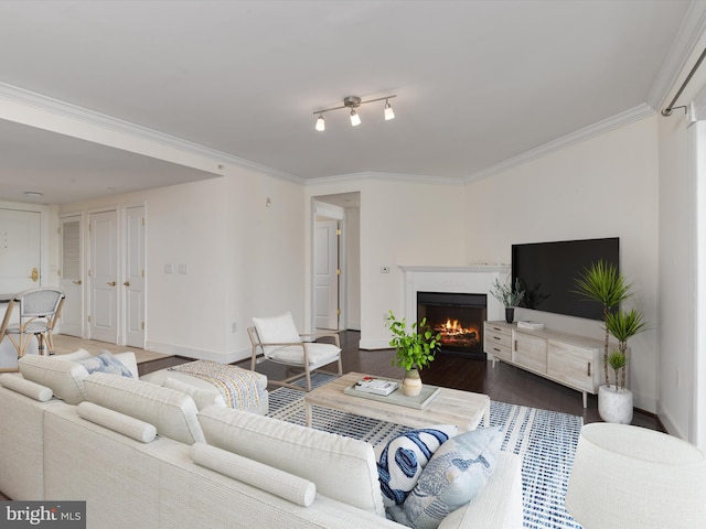 living room with ornamental molding, wood finished floors, baseboards, and a premium fireplace