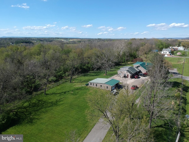 bird's eye view with a forest view