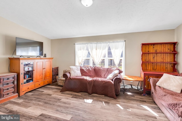 living room with a textured ceiling and wood finished floors