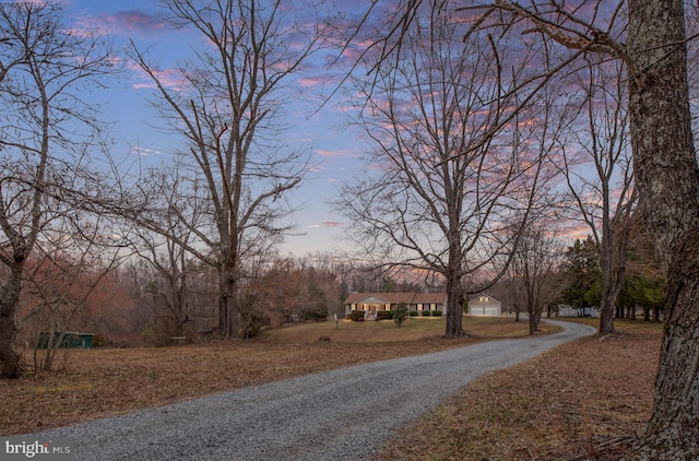 view of road with gravel driveway