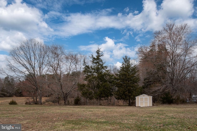 view of yard featuring a storage shed and an outbuilding