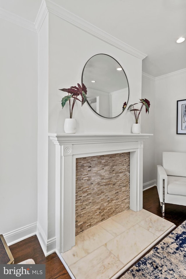 details featuring a fireplace, wood finished floors, baseboards, and ornamental molding