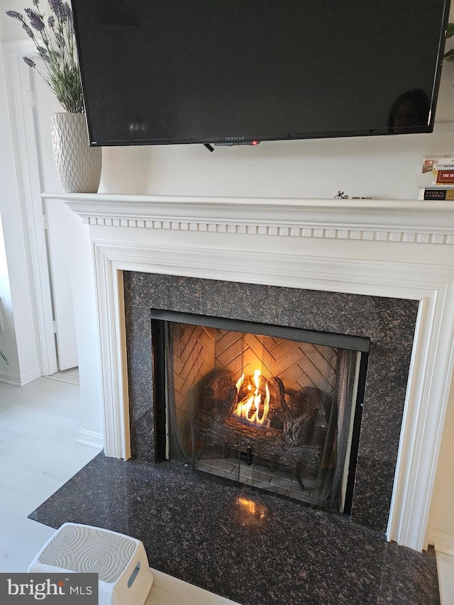 interior details featuring a premium fireplace