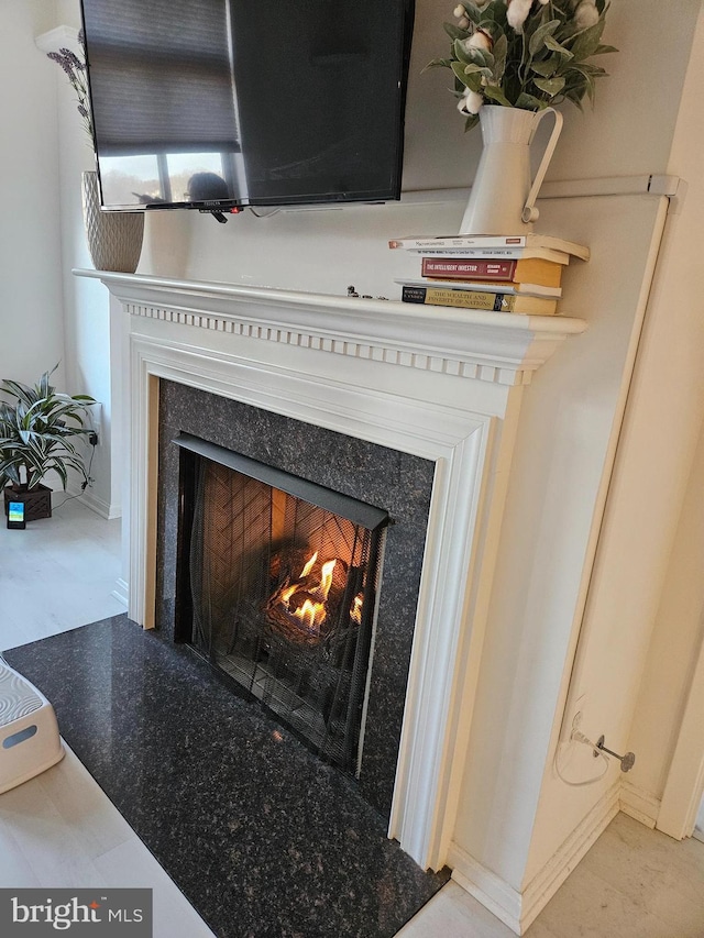 details with a premium fireplace and baseboards