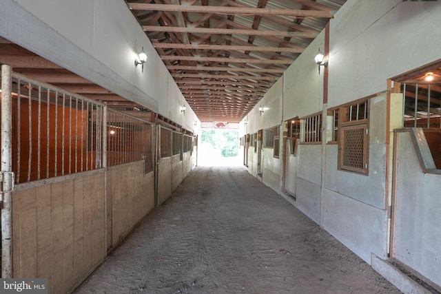 view of horse barn