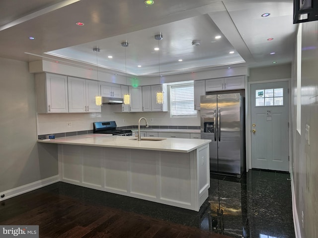 kitchen featuring a sink, a raised ceiling, a peninsula, and stainless steel appliances