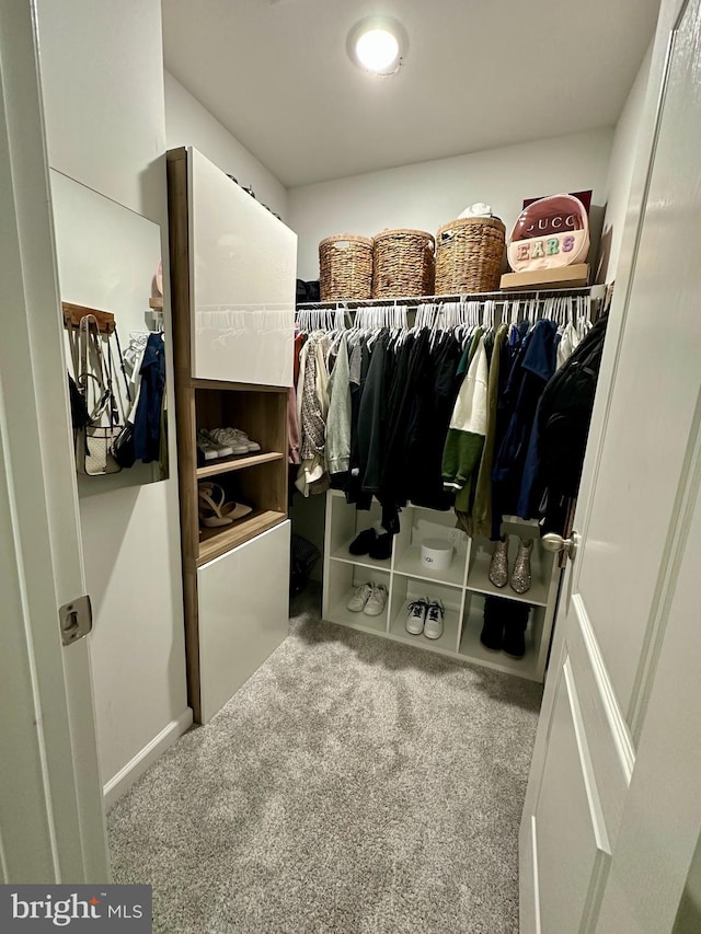 walk in closet with carpet