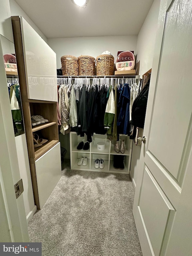 spacious closet featuring carpet